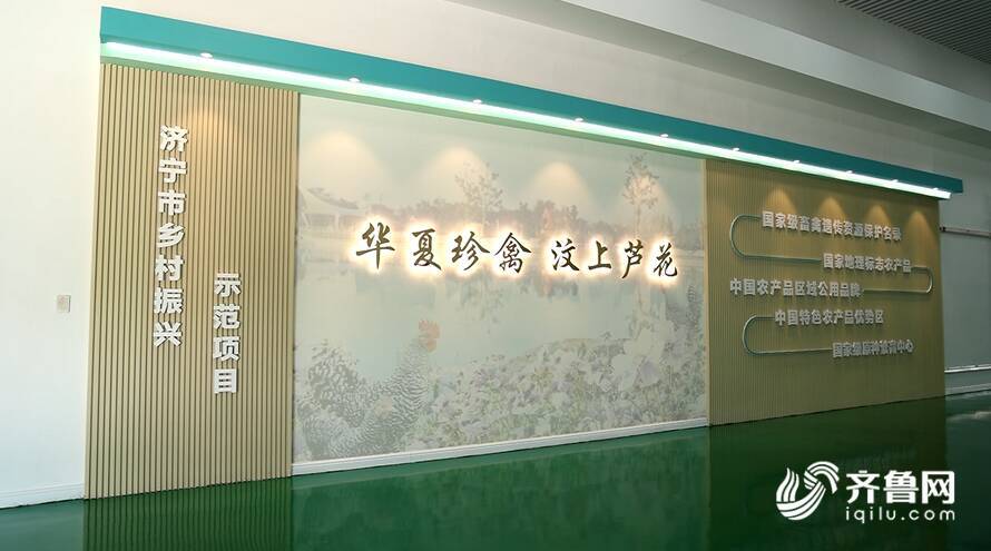 【齊魯網(wǎng)】濟(jì)寧2022上半年重點(diǎn)項(xiàng)目巡禮:汶上蘆花雞全產(chǎn)業(yè)鏈標(biāo)準(zhǔn)化生產(chǎn)基地項(xiàng)目 - 副本