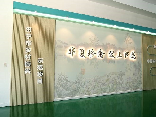 【齊魯網】濟寧2022上半年重點項目巡禮:汶上蘆花雞全產業鏈標準化生產基地項目